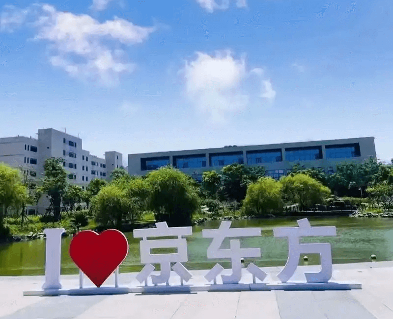京东方内页.png